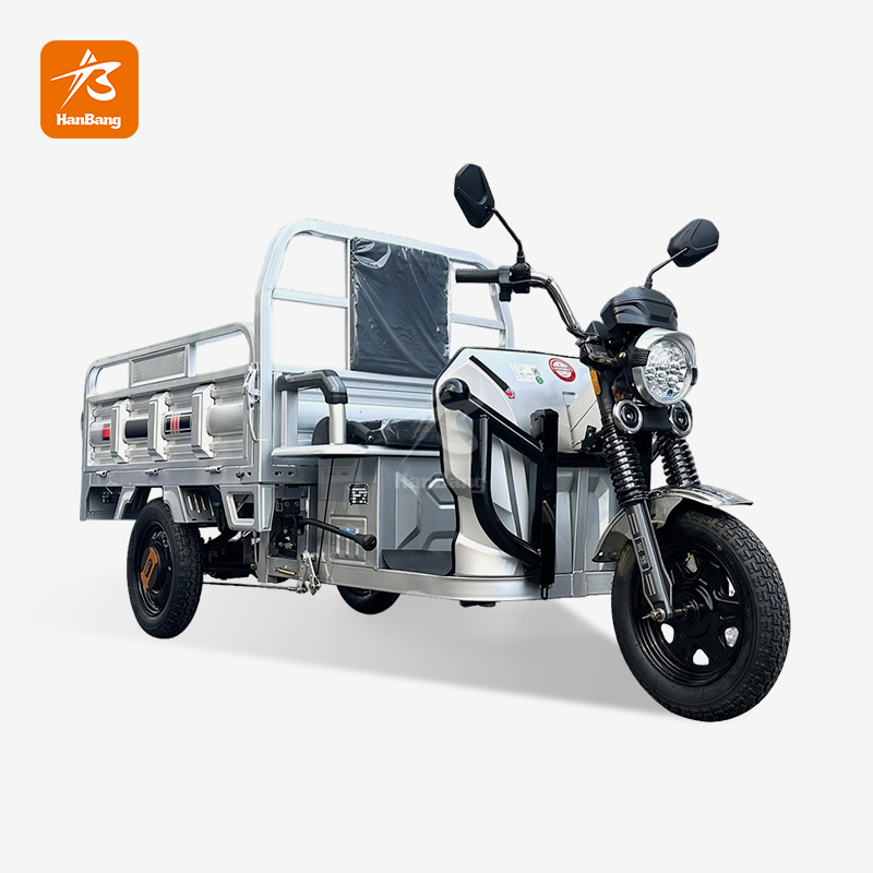 Motorcycle Electric Tricycle 3 wheeler cargo